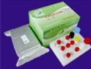 Animal Disease Diagnostic Elisa Test Kit